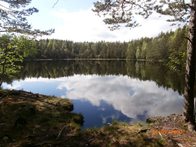 Hältingträsk 1.JPG