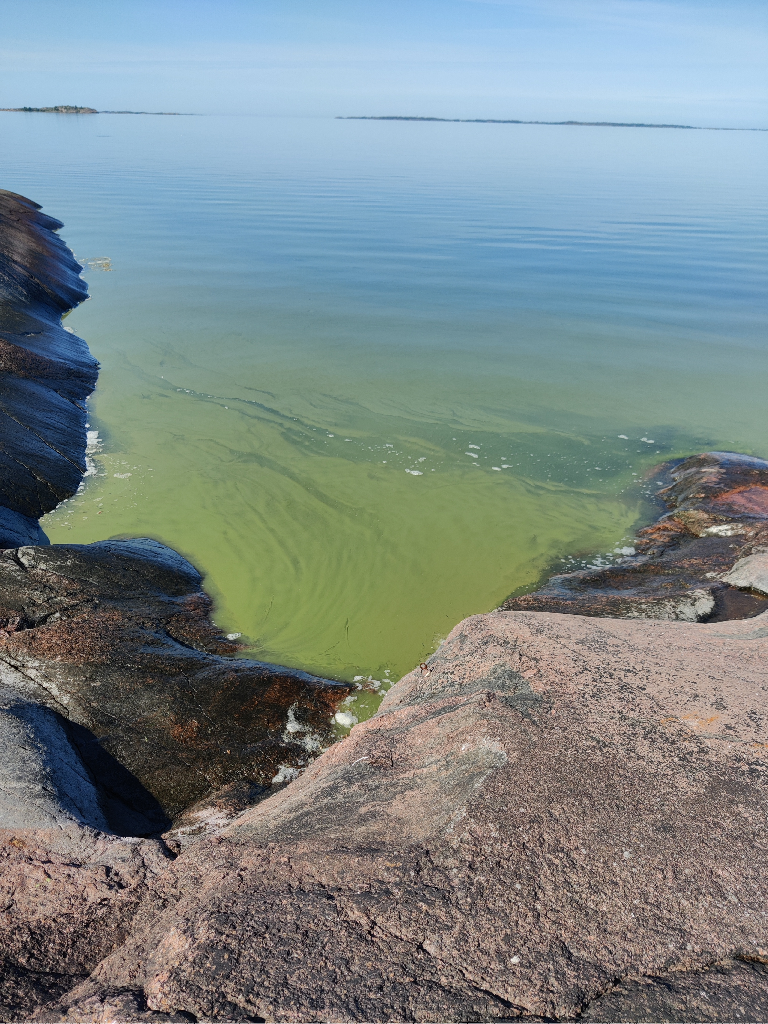 Korppoon - Houtskarin ulkosaaristoalue-Granholms kobben -ObsIMG-202307121001-64ae4ff6728bf.png