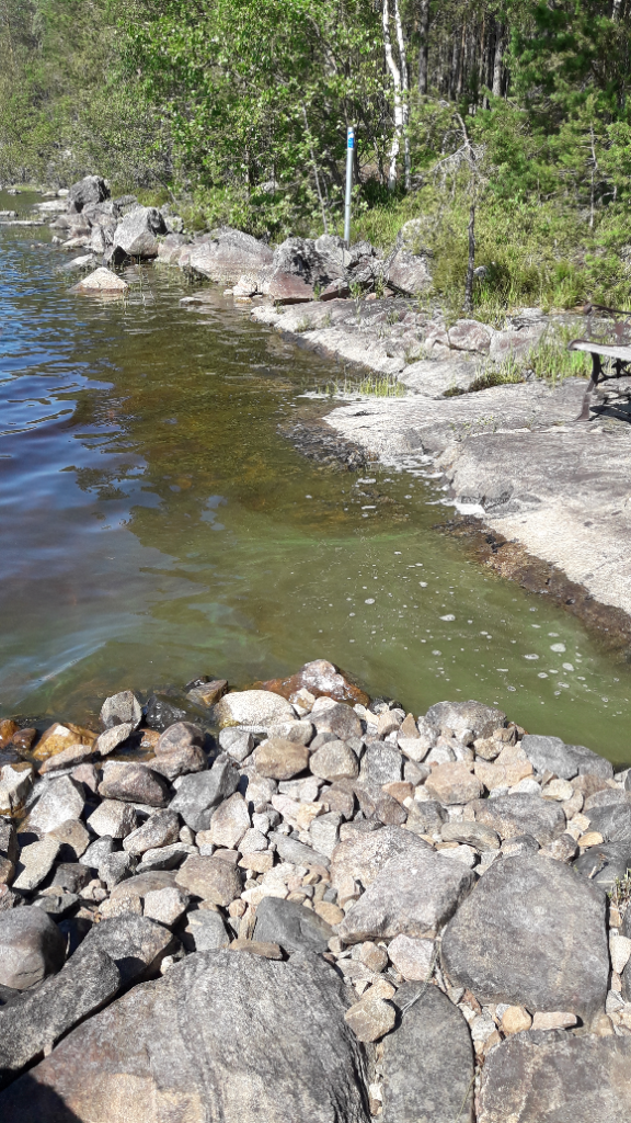 Pielinen (04.411.1.001)-Havaintopaikka 6-ObsIMG-202107031549-60e05da43b6bf.png