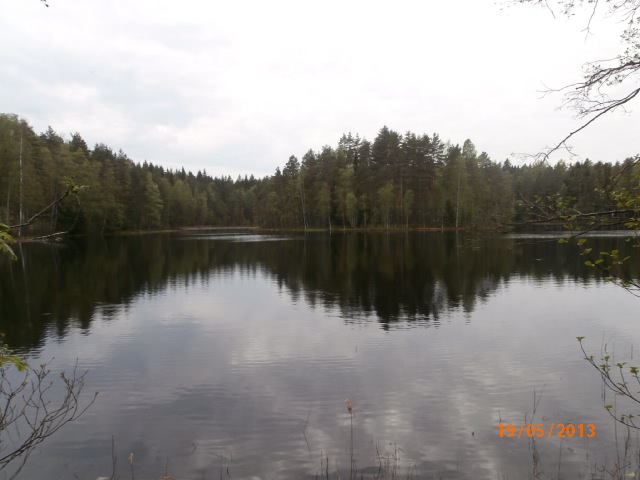 Haukkalammen saari.JPG