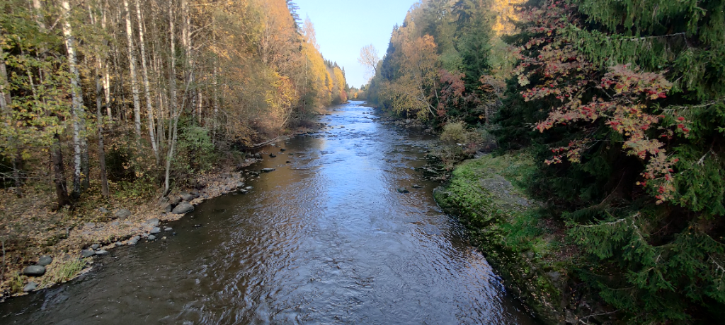 Vantaan suualue (21.011)-Pitkäkoski-ObsIMG-202110031620-6159ae975bb3c.png