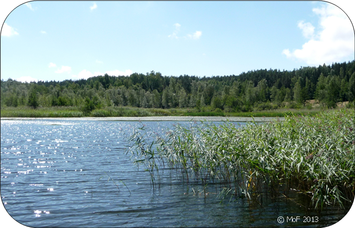 Viken (Jarviwiki).png