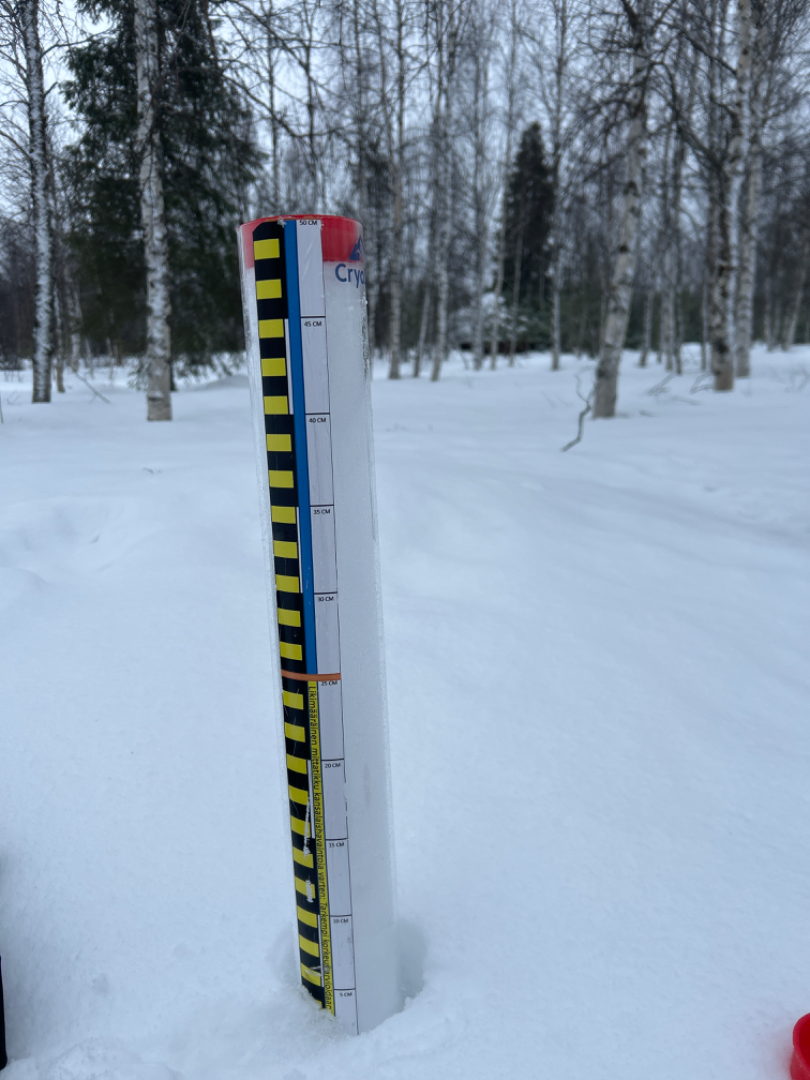 Muonionalustan alue (67.421)-Havaintopaikka 2-ObsSNOW-202603171021-69b912337fce3.png