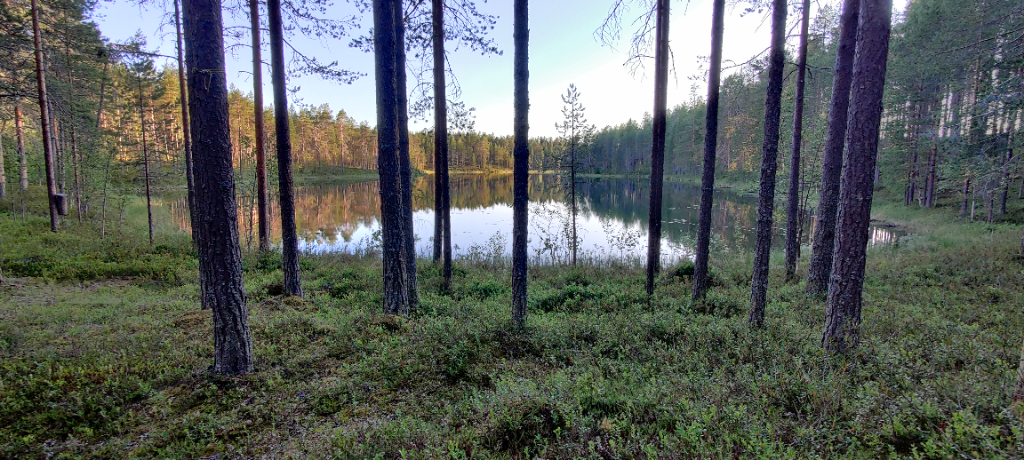 Koukkulampi (74.081.1.012)-Itäpää-ObsIMG-202307102122-64ac4e1ae0333.png