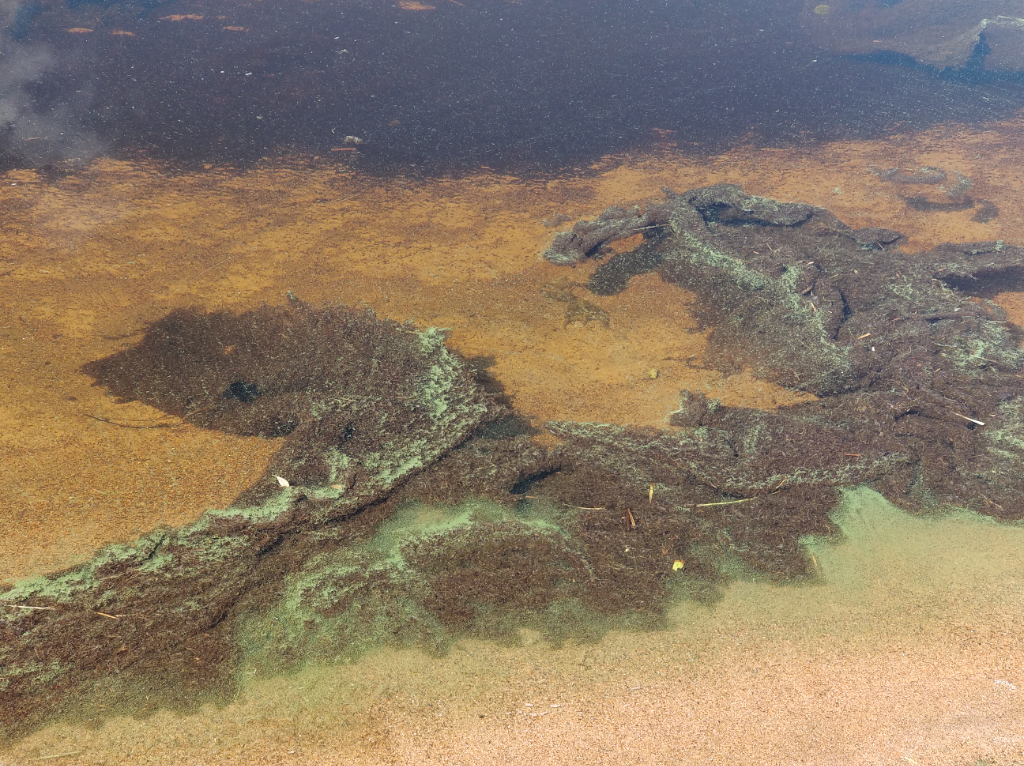 Oulujärvi (yhd.)-Lehmilahti-ObsIMG-202106291500-60db2bd258729.png