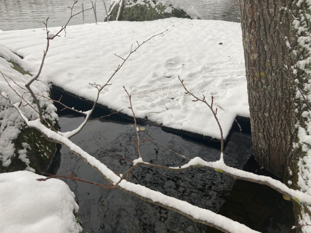 Iso Kuhajärvi (14.314.1.001)-Brittilänranta-ObsLEVEL-202311131031-6551e6b967e70.png