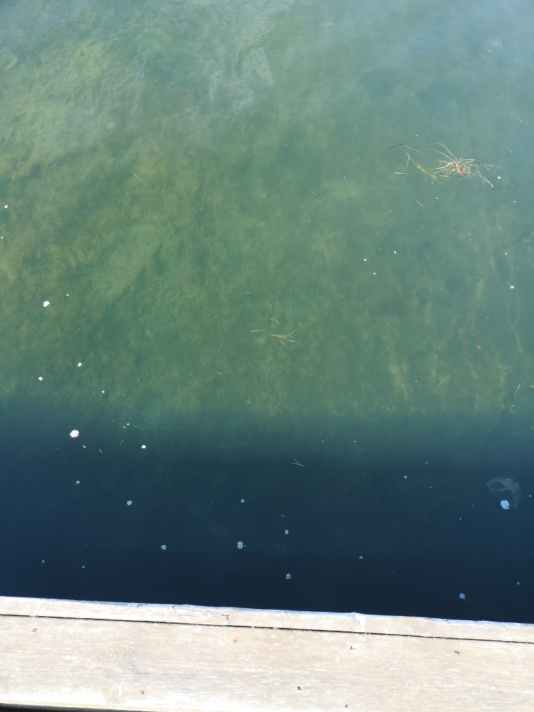 Korppoon - Houtskarin ulkosaaristoalue-Jurmo, vierassatama-ObsIMG-202109271506-6151b40e11043.png