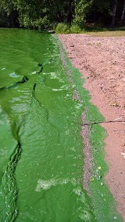 Hiidenvesi (23.031.1.001)-Haudankallio-ObsALG-201707071930-29.jpg