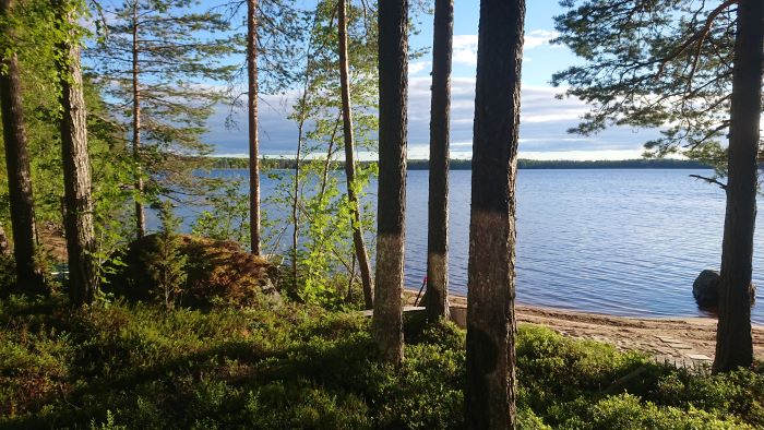 Kovesjärven hiekkarantoja.JPG