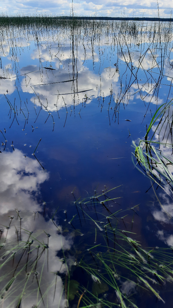 Saanijärvi (14.491.1.001)-Saanijärvi, vedenkorkeusasema-ObsIMG-202307101243-64abd3363a380.png