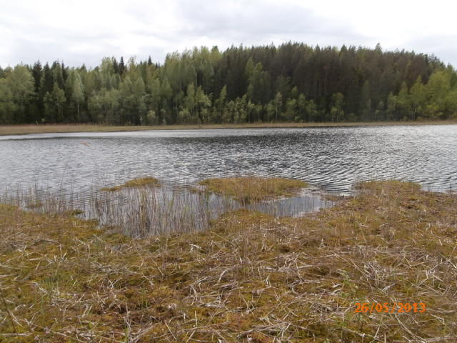 Bakunkärrs träsket.JPG