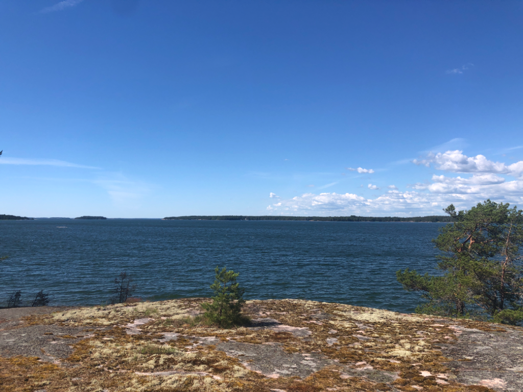 Bengtsår-Rotarien sinileväseuranta (Björkholmen)-ObsIMG-202406241548-66796c5f8d20a.png