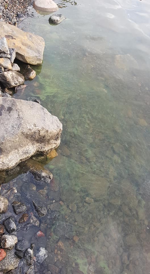 Korshamnsfjärden-Storfjärden-Vaasa, Gerby Långören-ObsIMG-201807122130-54.jpg