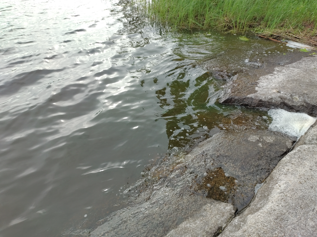 Keurusselkä - Ukonselkä (yhd.)-Pappilan niemi -ObsIMG-202207091815-62c99cd6ae331.png