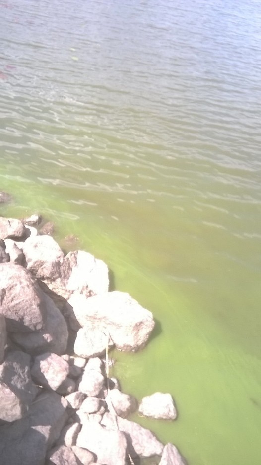 WP 20180602 002 (2) (002).JPG