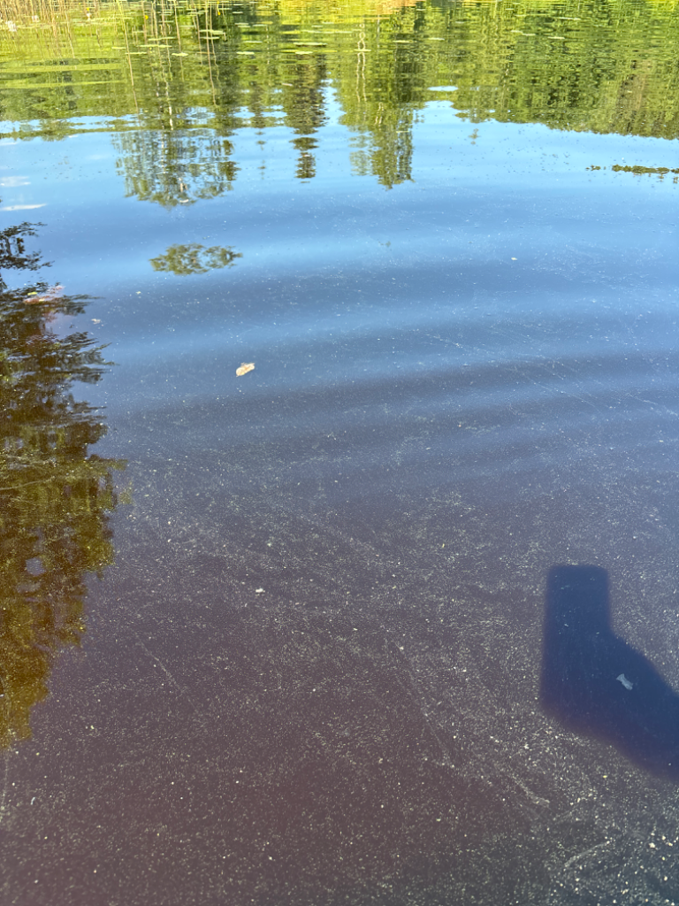 Keihäsjärvi (35.415.1.001)-Keihäs, Kalettomanlahti-ObsIMG-202406271052-667d1b15925e7.png