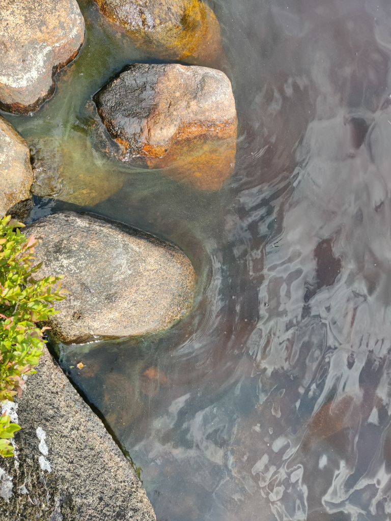 Kätkänjärvi (44.073.1.002)-Havaintopaikka 1-ObsALG-202307231414-64bd0bf2eaae4.png