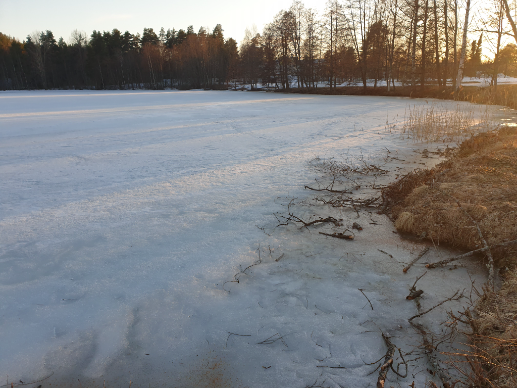 Urpolanlampi (04.152.1.001)-Havaintopaikka 1-ObsIMG-202304101936-64343cc25cfb2.png