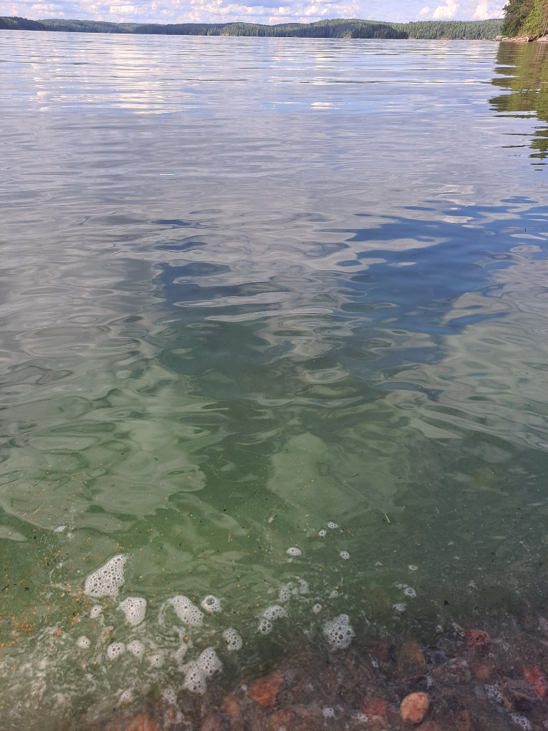 Hiidenvesi (23.031.1.001)-Hiidenniementie 80-ObsALG-202207311646-62e6889b00a23.png