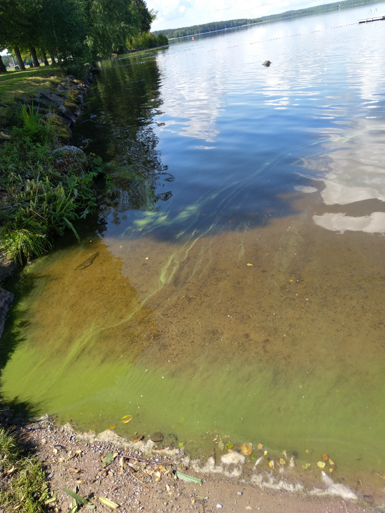 Rautavesi - Liekovesi (35.131.1.001)-Pororanta-ObsALG-202307261301-64c0ef1536fd2.png