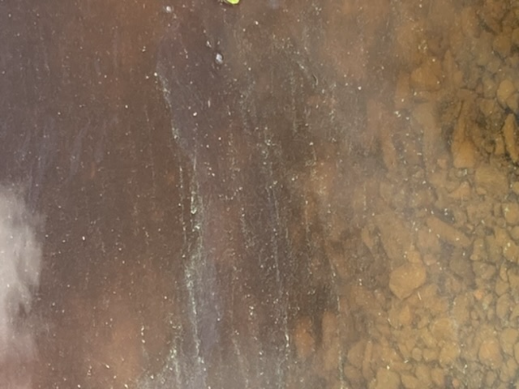 Mouhijärvi (35.155.1.001)-Havaintopaikka 1-ObsIMG-202108121442-61150a0299278.png