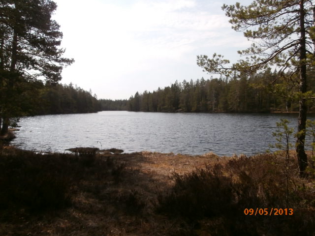 Kaarlammen pohjoispaa 05.JPG