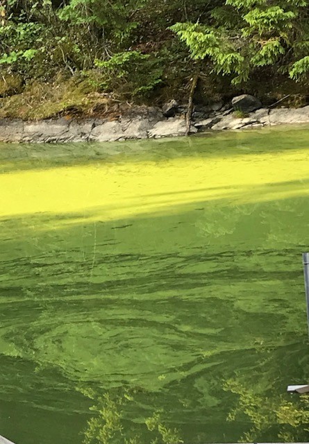 Inkoo Fagervik-Nötö-ObsIMG-201807180805-40.jpg