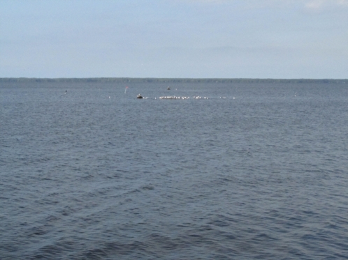 Pyhajarvi katismaasta.jpg