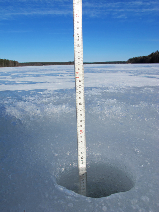 Sääksjärvi (23.097.1.002)-Sääksjärvi-ObsICE-201903031330-34.jpg