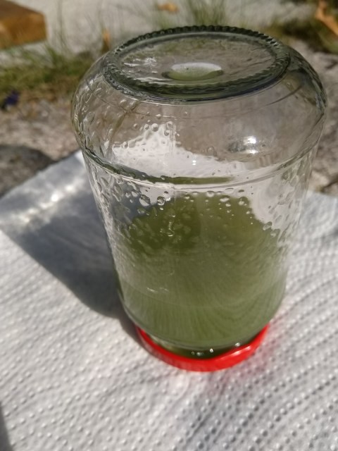 Saimaa (04.112.1.001)-Ihalansalmi-ObsIMG-201909251350-26.jpg