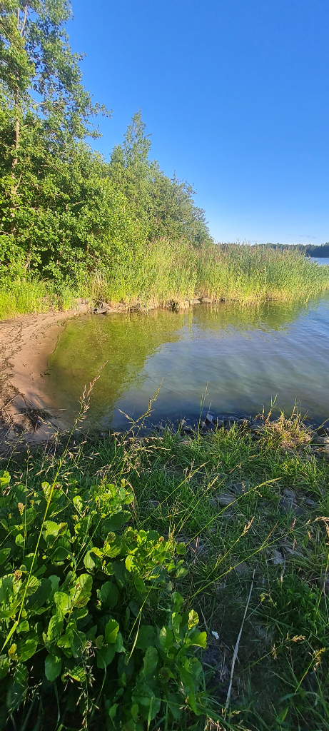 Luvian sisäsaaristo-Lankoori-ObsIMG-202207102058-62cb13c4e748e.png