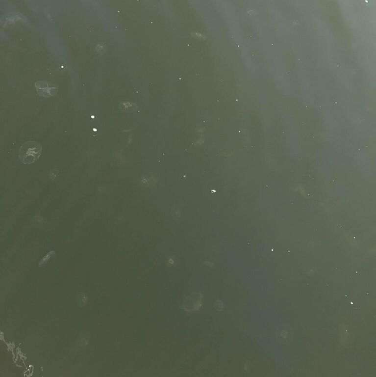 Helsinki-Porkkala-Harmaja, eteläpuoli-ObsIMG-201709171534-60.jpg