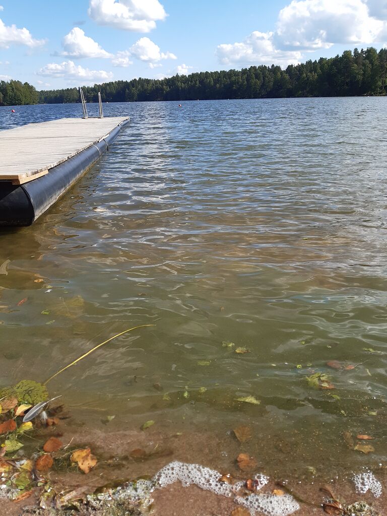 Joutjärvi (14.241.1.004)-Möysän ranta-ObsTURB-202008201554-31.jpg