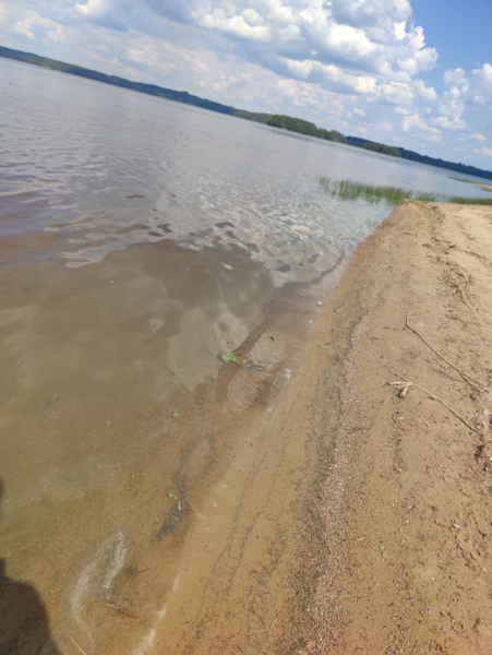 Tiedosto:Lappalanjärvi (14.181.1.001)-Särkkien uimaranta Lappalanjärvi-ObsIMG-202306291325-649d5d2f75b8a.png