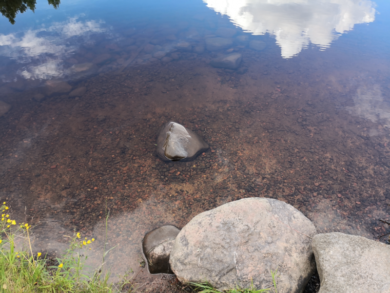 Tiedosto:Montanlampi (59.121.1.001)-Montangrillikota1-ObsIMG-202207291737-62ea8911032c6.png