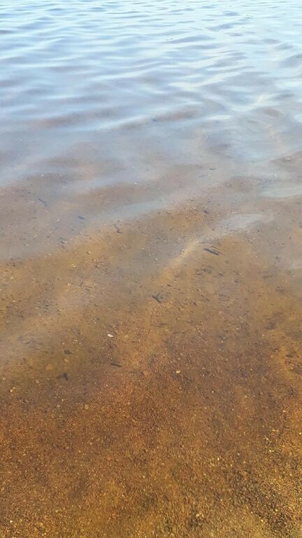 Särkät02082018 asiakaskuva.jpg