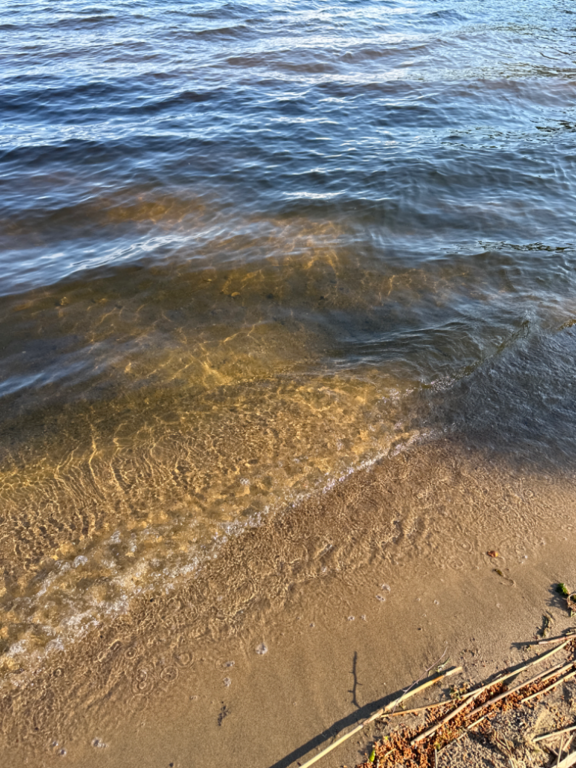 Ukonvesi (Saimaa) (04.151.1.001)-Koivukummunpolku-ObsALG-202306261818-6499ac4493584.png