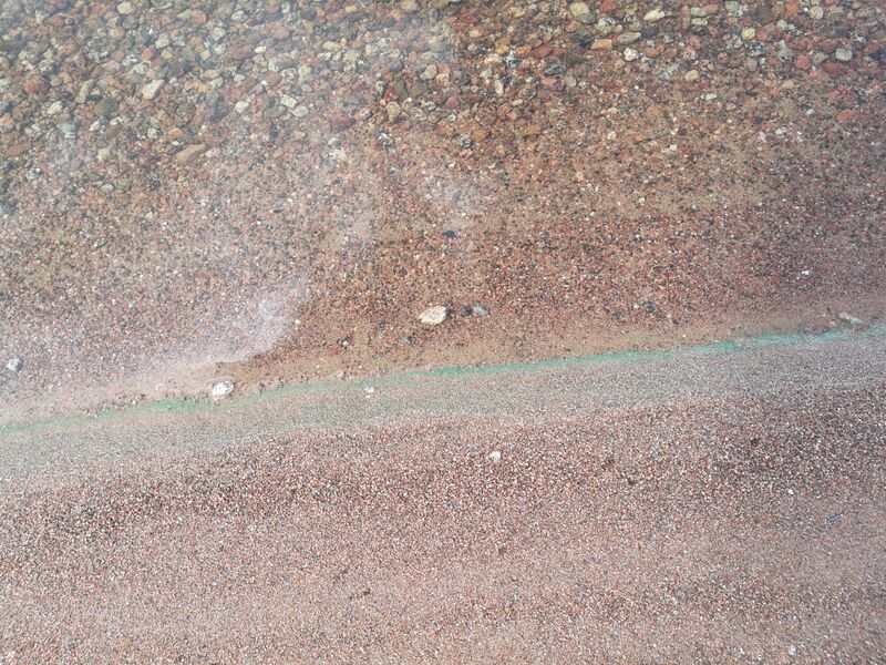 Tiedosto:Lappalanjärvi (14.181.1.001)-Särkät-ObsIMG-201906261402-65.jpg