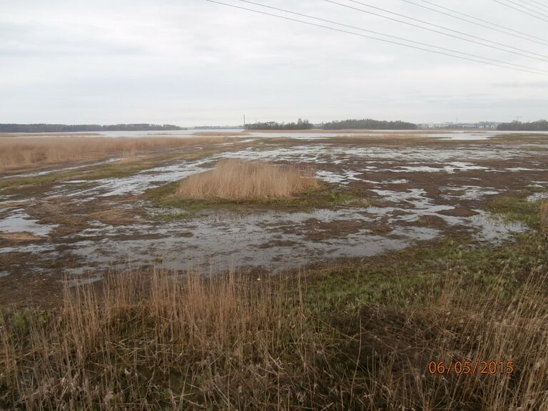 Purolahden lintutornista.JPG