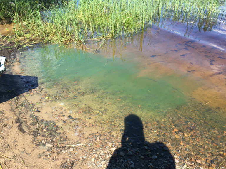 Toisvesi (35.421.1.001)-Havaintopaikka 2-ObsALG-202107032306-60e0c570e43bb.png