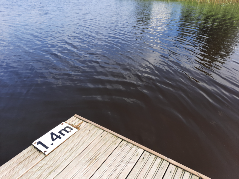 Tiedosto:Haukivesi (Saimaa) (04.211.1.001)-Valtakunnallinen sinileväseuranta (Pieni Raudanvesi)-ObsALG-202306281552-649c2d89c7514.png