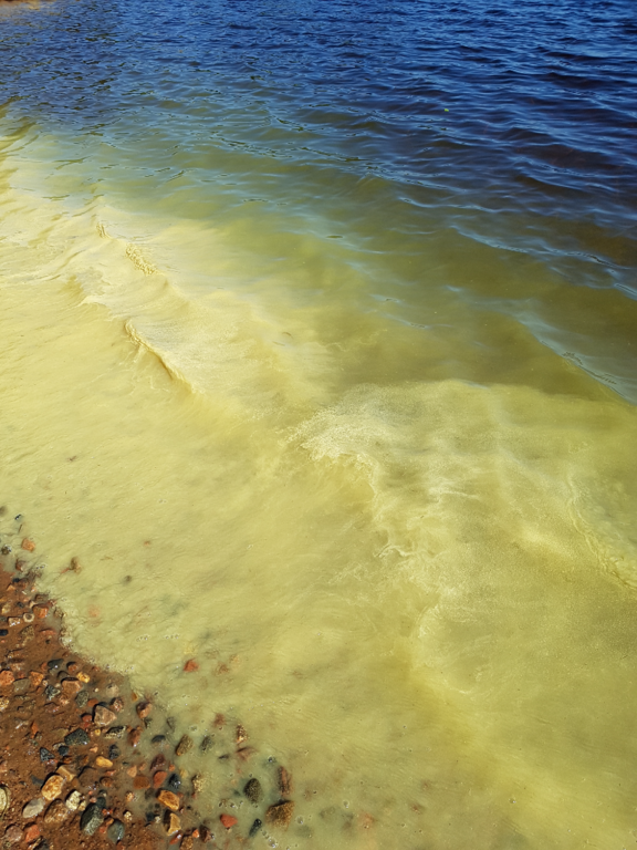 Kemijärvi (yhd.)-Ulkuniemi, uimaranta-ObsIMG-202206291754-62bc6844f24f3.png