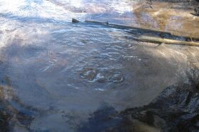 Luikonperän lähde 2.JPG