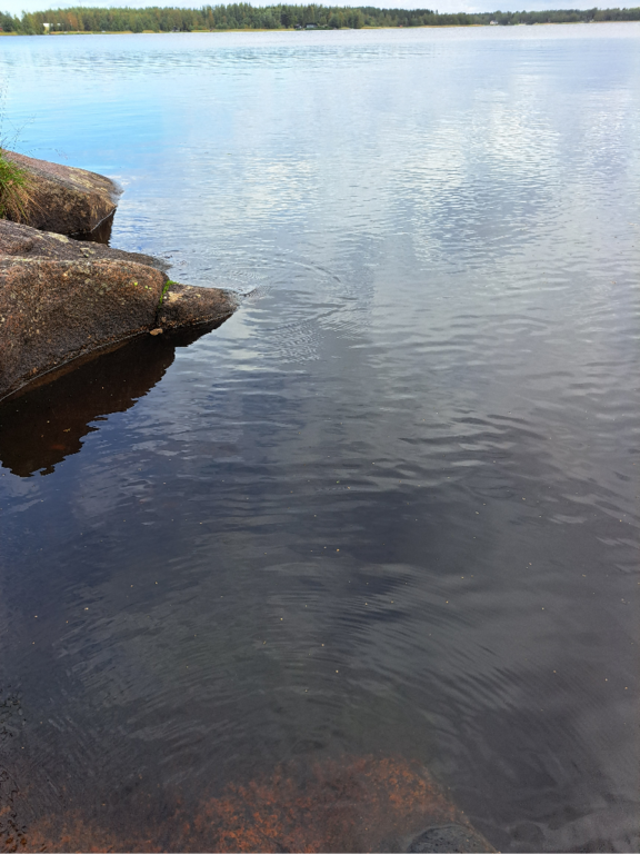 Luodonjärvi (99.110.1.001)-Valtakunnallinen sinileväseuranta-ObsALG-202309051440-64f7131bc2afd.png