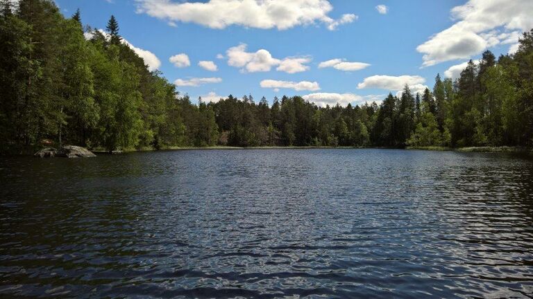 Myllyjärven itäpää.jpg