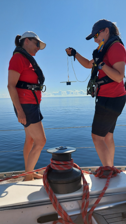 Porkkala-Jussarö-Jussarö koillinen-ObsIMG-202208091208-62f2259a06923.png