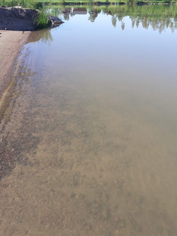 Sääskjärvi (16.004.1.001)-Valtakunnallinen sinileväseuranta-ObsIMG-202206070811-629ede3341ac4.png