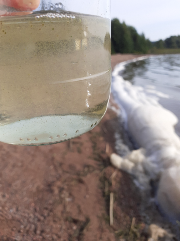 Urajärvi (14.123.1.001)-Valtakunnallinen sinileväseuranta-ObsIMG-202208170840-62fc7fa08749f.png