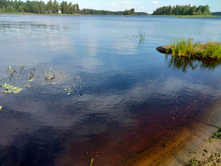 Evijärvi (47.021.1.001)-Valtakunnallinen sinileväseuranta (Sillankorvan leirintäalue)-ObsIMG-202308081134-64d213178e4e5.png