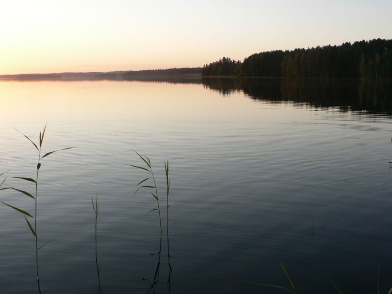 Tiedosto:Ilta Varislahdella .jpg